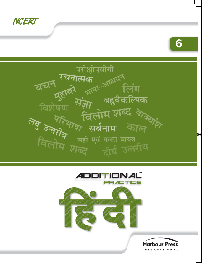 Additional Practice Hindi Vasant Class VI